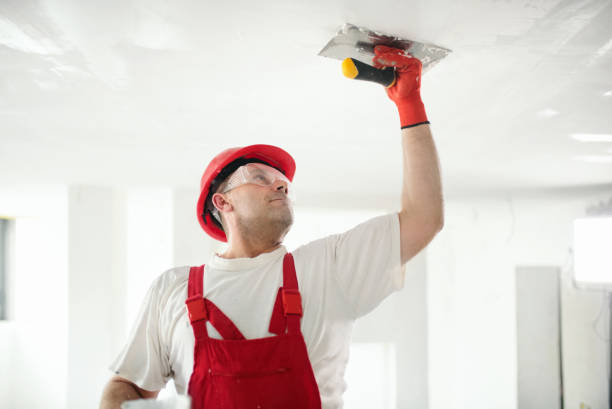 Best Drywall for Remodeling  in Plainview, NY